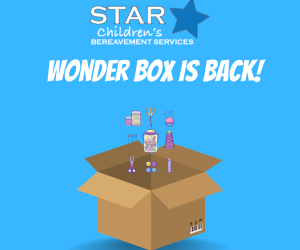 Wonder Box 2022 – 2023 Application Open