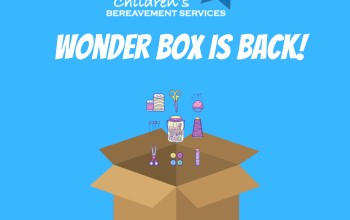 Wonder Box 2023 – 2024 Application Open