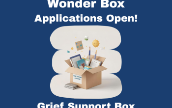 Wonder Box Application Open for 2025-2026